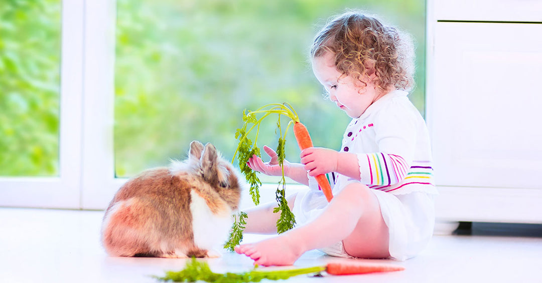 Eco-Friendly Cleaning Tips: Celebrate Earth Month with JAWS