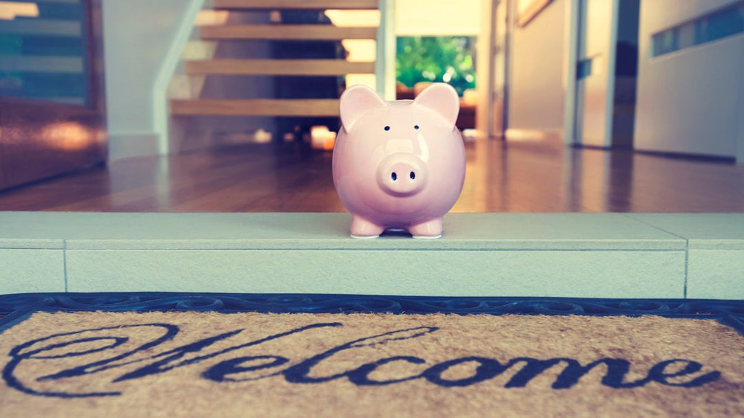 Save Money on Cleaning Products