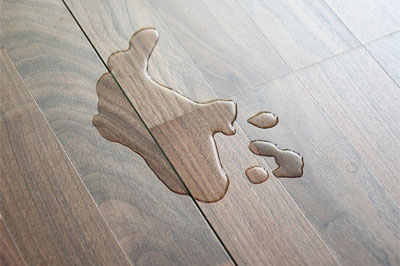 Clean up spills quickly on hardwood floors